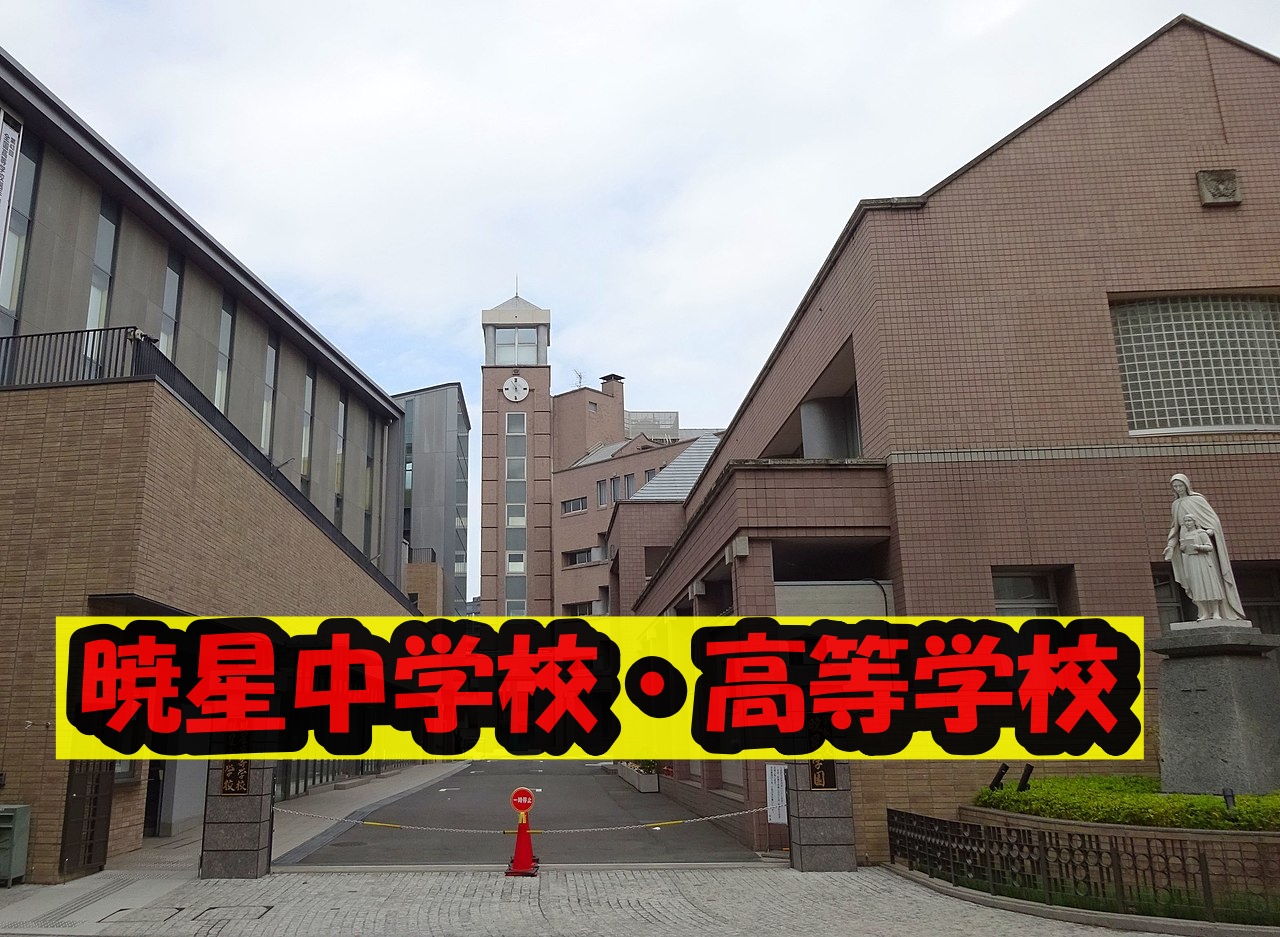 賀来賢人学歴