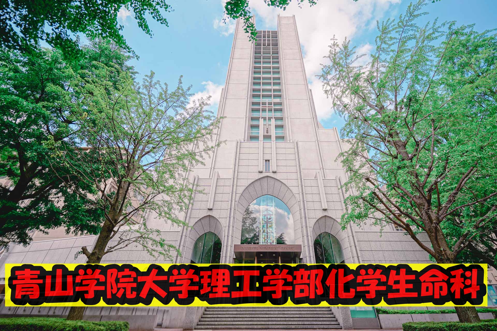市原創吾の出身大学