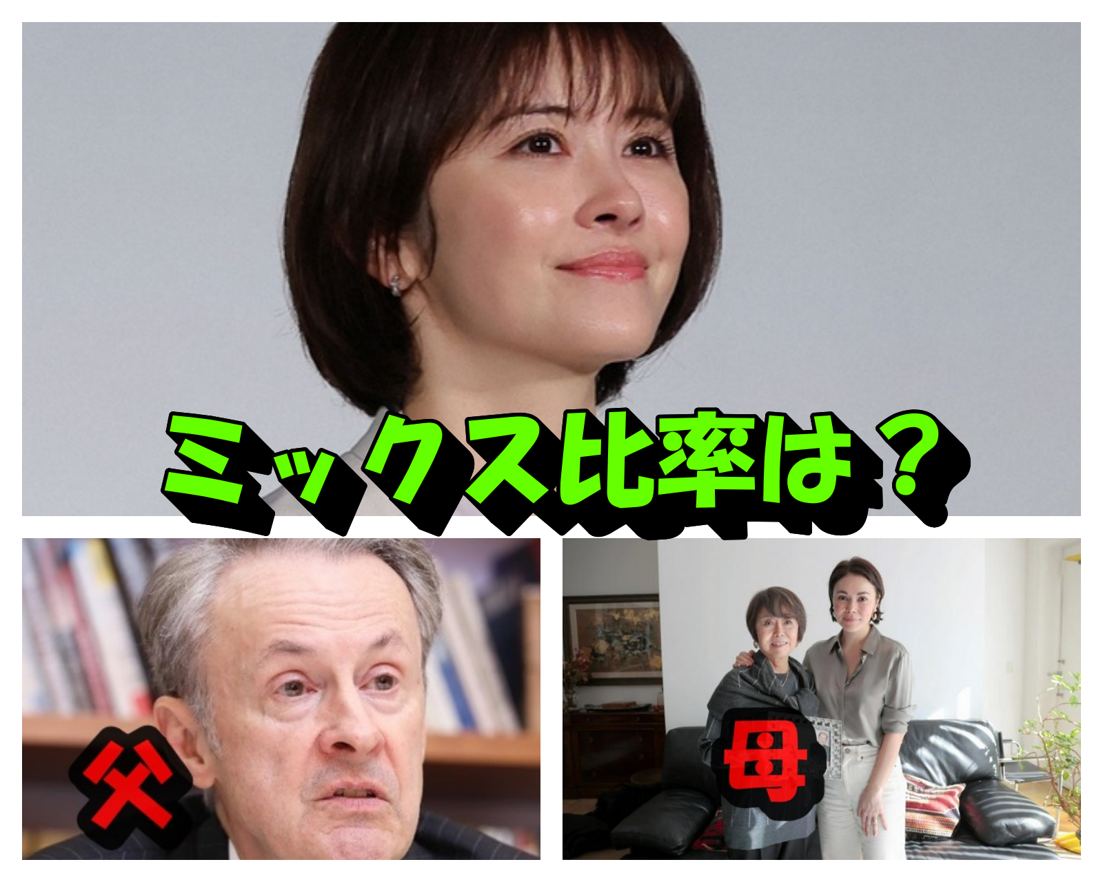 宮澤エマ血統のミックス比率