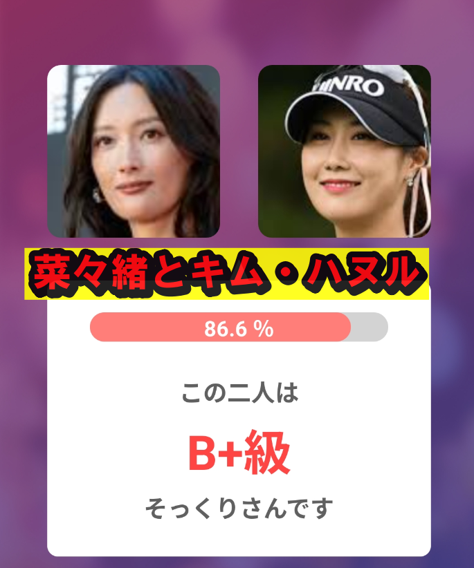 菜々緒とキム・ハヌル