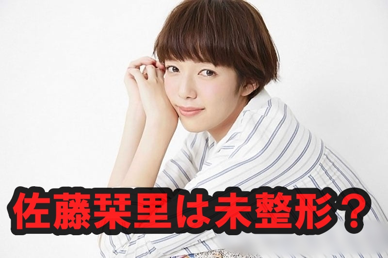 佐藤栞里は未整形？