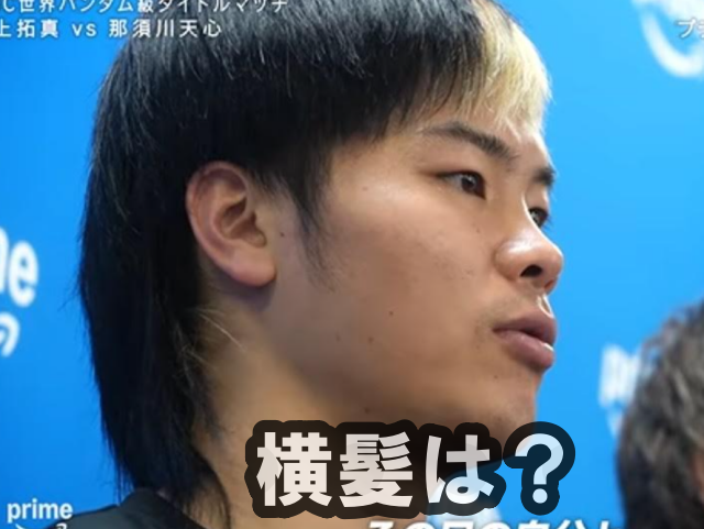 那須川天心選手のサイド画像